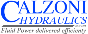 Calzoni